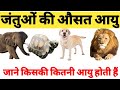जंतुओं की औसत आयु || जंतुओं के बारे में जाने पूरी जानकारी||