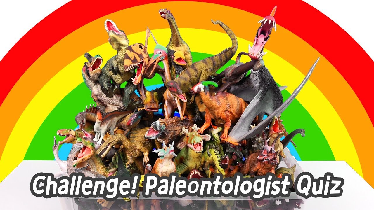 ⁣[EN] Challenge! Paleontologist Quiz, dinosaurs names for children, collecta figuresㅣCoCosToy