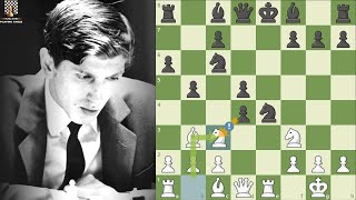 Ván 33 - Bobby Fischer Thí Mã, Nhưng Nhà Vô Địch Nam Tư Không Dám Ăn - My 60 Memorable Games screenshot 3