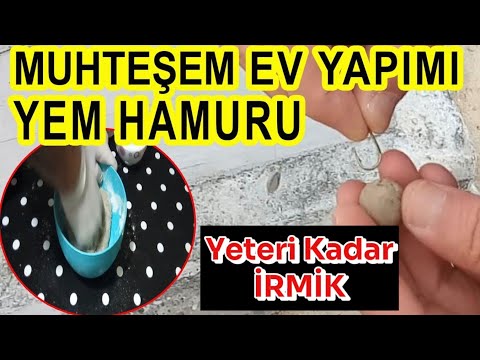 Video: Sadece Kedi Scratch Hastalığı Hakkında Nasıl Endişeli Olmalıyım?