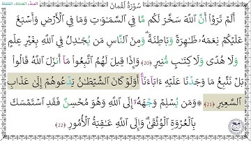 سورةُ لقمان - عبد الرحمن شاهين