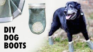 DIY Dog Shoes / Boots  Do they really work?
