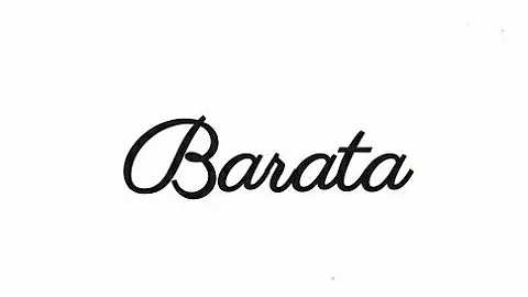 Quando usar barato e barata?