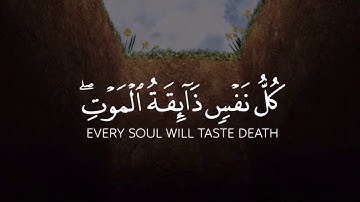 كل نفسٍ ذائقة الموت ❤️ تلاوة خاشعة للقارئ شريف مصطفى  حالات واتس اب   Quran status HD