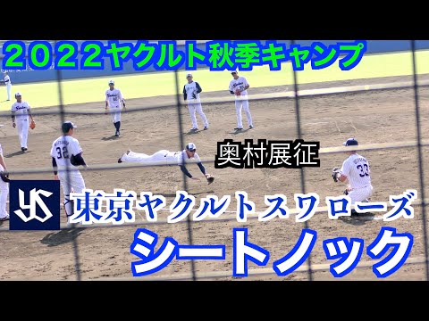 加入した三ツ俣選手はセカンド　東京ヤクルトスワローズ　シートノック ！【東京ヤクルトスワローズVS愛媛マンダリンパイレーツ　練習試合】