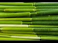 Foraging Cattail