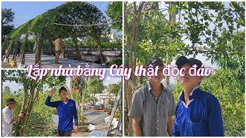Lắp nhà vòm bằng Cây xanh Độc Đáo trang trí trong quán cà phê | Anh Sáu Miền Tây