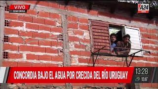 🔴💧 Concordia Bajo El Agua Vecinos Se Quedan En Sus Casas Para Cuidar Sus Animales Y Pertenencias