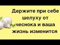 Возьмите с собой шелуху от чеснока и ваша жизнь значительно изменится | Тайна Жрицы