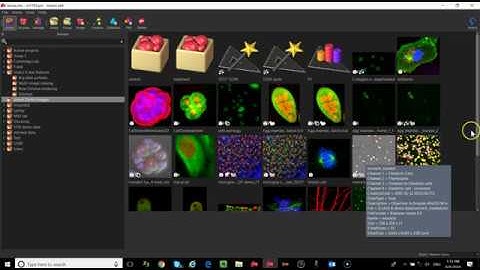 Imaris Intro tutorial session 1   UCSF 080918
