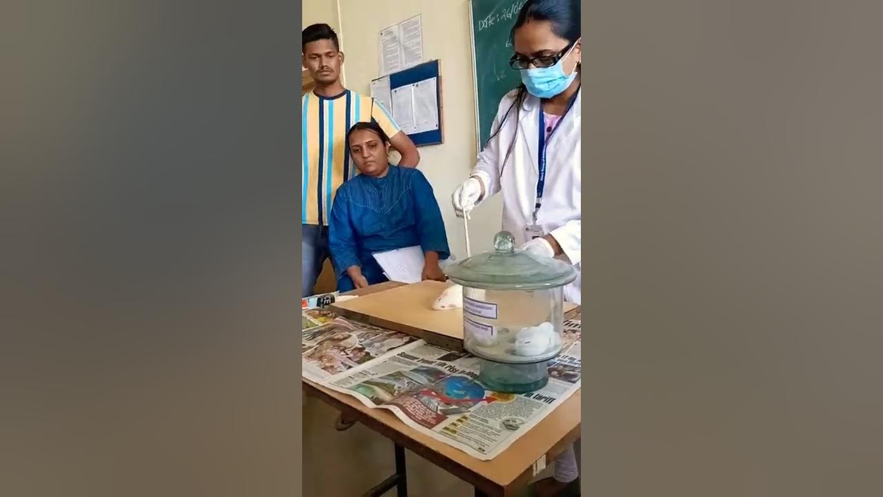 Animal Handling Experimental Pharmacology Dissection of Albino Rat 🐀