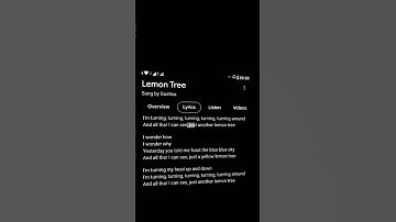 Thumbnail of Lirik Lagu "Lemon Tree" #lemontree