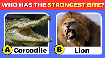 Test je dierenkennis! Algemene kennisquiz