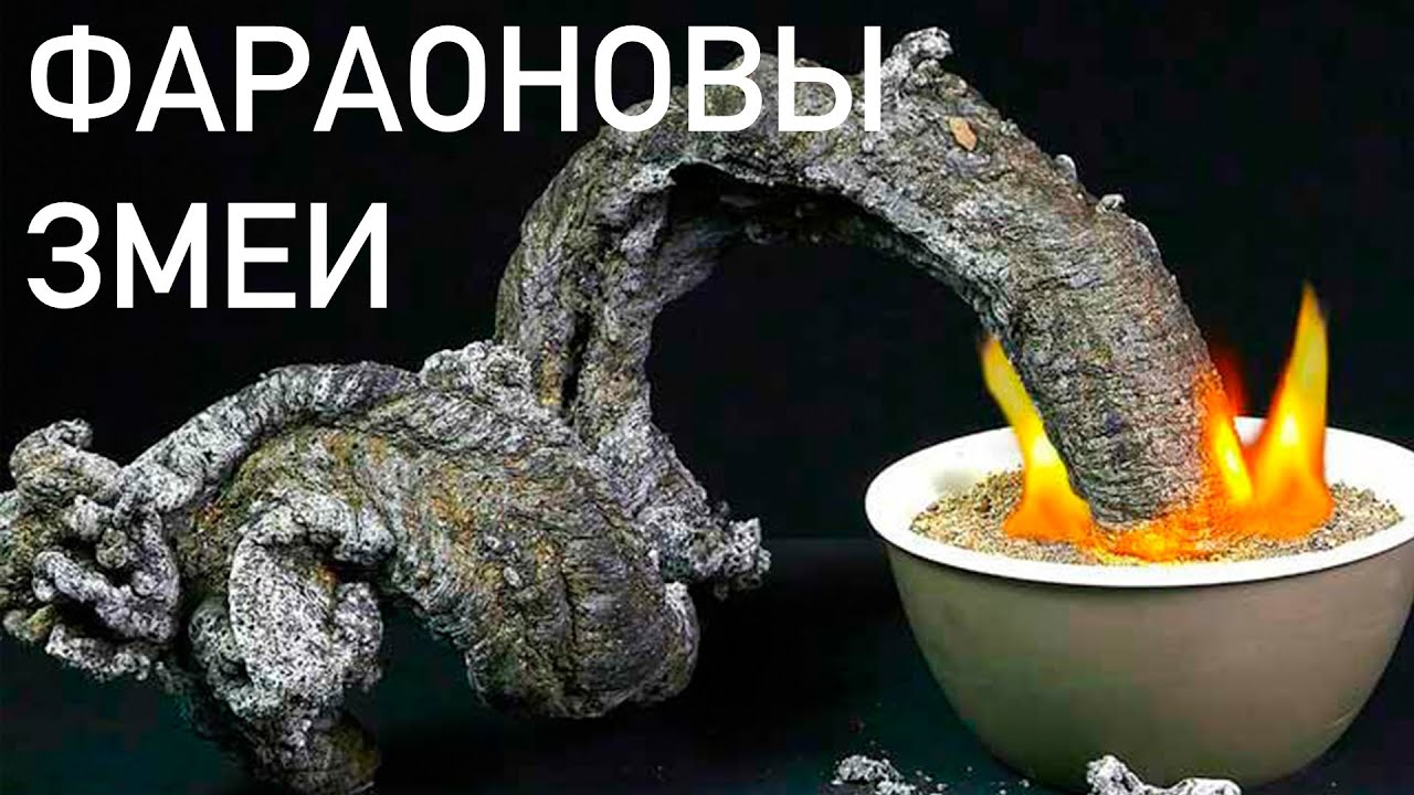 Фараоновы змеи.  Химия – просто