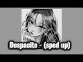 Despacito Sped Up вњЁрџЋ рџЋµ Despacito Sped Up вњЁрџЋ рџЋµ