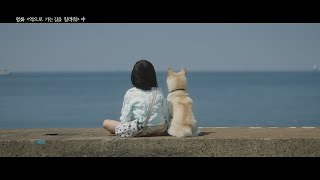 [MV] 안녕바다(byebyesea) - 무지개다리(Rainbow Bridge)