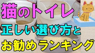 【前編】猫用トイレ番良いのはどれ獣医師・動物介護士・トレーナーが徹底解説します【2022年最新版】