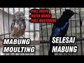 Konin Susah Mabung: Penyebab, Solusi Ampuh, dan Perawatan Terbaik