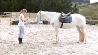 Alisha and Sian learning the 7 games - school holiday fun with horses! screenshot 4