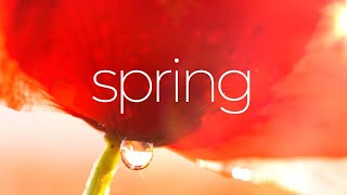 Spring on Campus