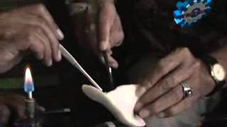 pelatihan jamur tiram tristar politeknik-info hub 031-8480823 screenshot 4