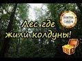 ❗ 🌲 🌳 Лес где жили колдуны! 🔆 🔱