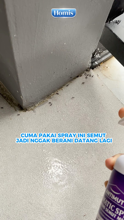 Cuma Pakai Ini Semut Mudah Terbasmi #shorts