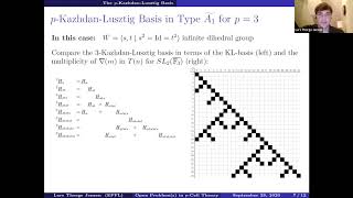 Open Problem(s) in p-Cell Theory - Lars Jensen