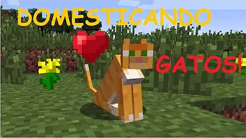 Como domar um gato no Minecraft 2020?