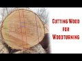 Cutting Logs into Turning Blanks ~ Part 1