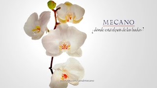 Mecano - Madrid (Premezcla &#39;83)