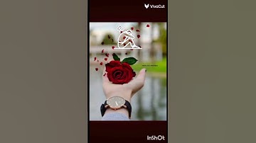 احترم القران الكريم دقيقة من وقتك 🌹❤