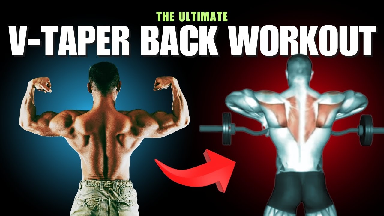 The Ultimate V-Taper Back workout - YouTube