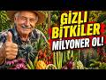 Sırrı Çözüldü: Kimsenin Yetiştirmediği Ama Sizi Milyoner Yapacak On Dört Gizli Bitki!