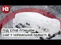 Зима продовжується: Черкаську область вкрив сніг