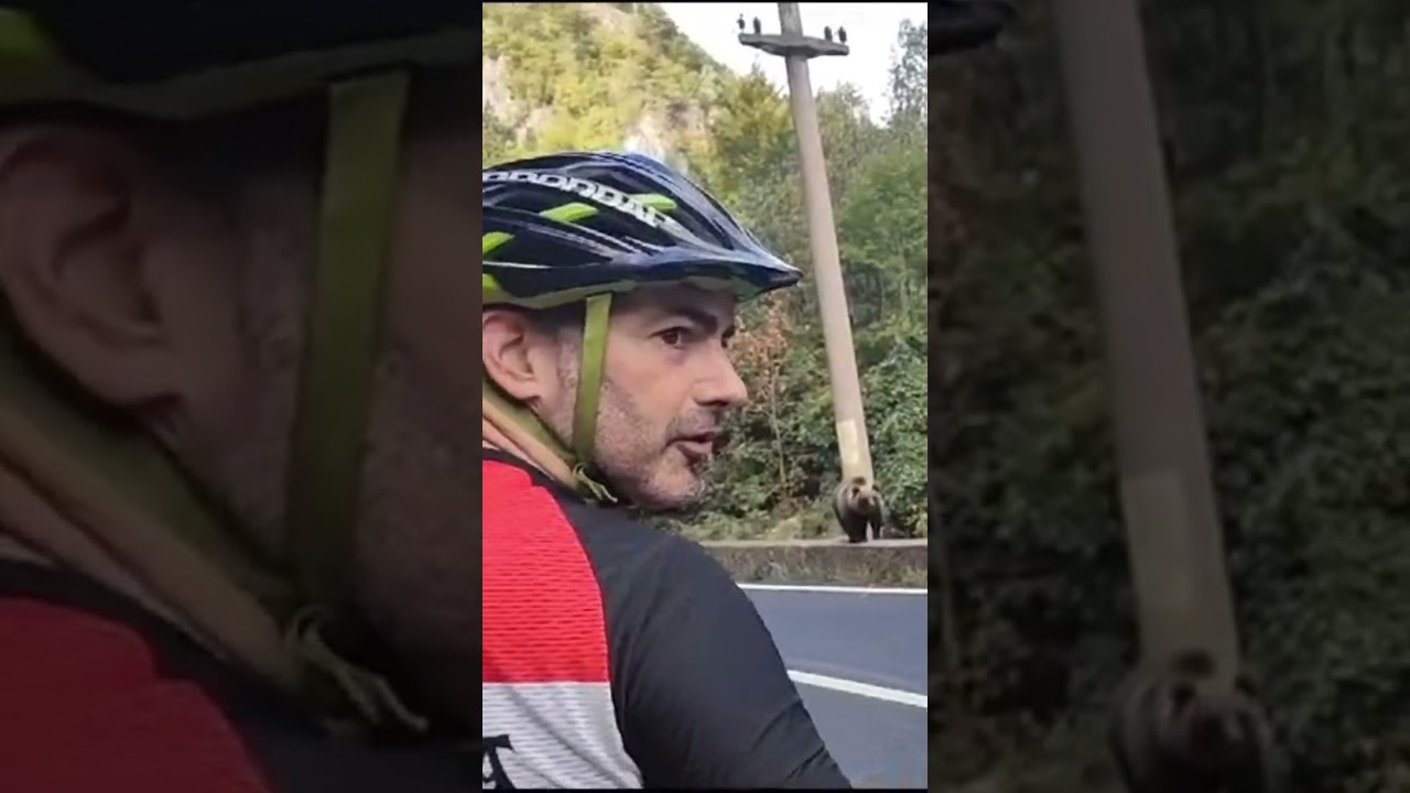 El sorprendente encuentro de cuatro ciclistas vizcaínos con un oso en Rumanía
