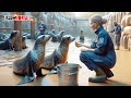 Zoo du pal  tout pour nos amis les animaux