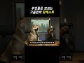 개도 사고치면 마음이 안조크든요 [팟개스트 ep.39]