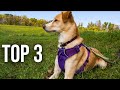 TOP 3 : Meilleur Harnais Anti Traction Chien 2023