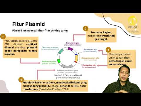 Video: Apakah sel prokariotik memiliki DNA plasmid?