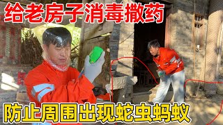 老房子周围收拾干净了,赶紧买药给周围撒上,防止蛇虫蚂蚁进屋,没想到睡觉的房间还有马蜂窝