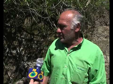 განადგურებული კურორტი