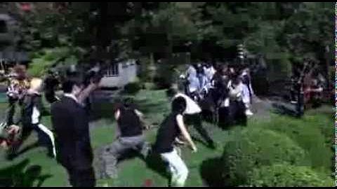 映画『映画 とびだせ新選組!』予告編