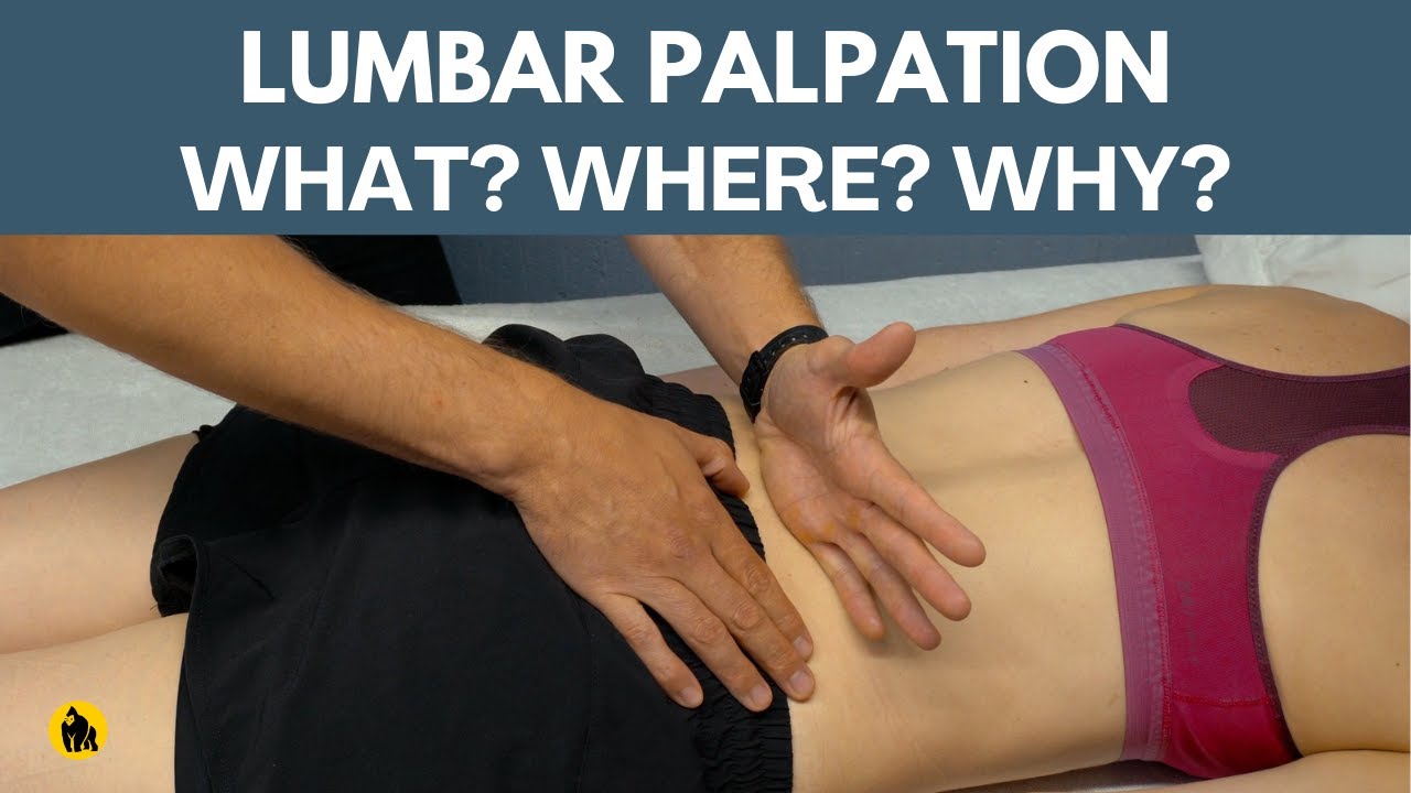 Palpation Of The Lumbar Spine - YouTube