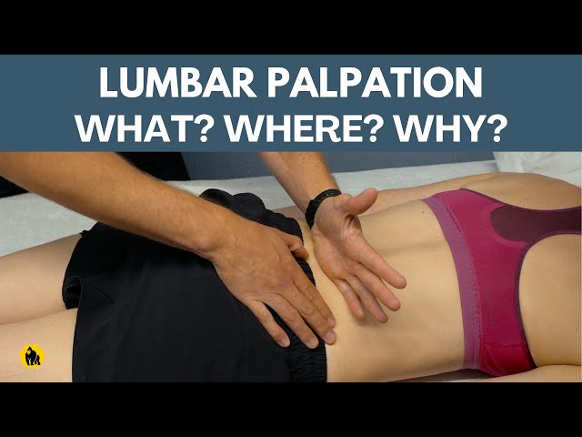 Palpation Of The Lumbar Spine - YouTube