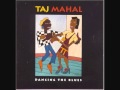 TAJ MAHAL -- HOOCHI COOCHI COO
