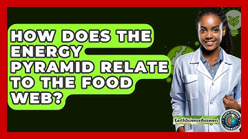 How Does The Energy Pyramid Relate To The Food Web? - Earth Science Answers