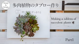 Part 1 多肉植物のタブロー作り Making A Tableau Of Succulent Plants Youtube