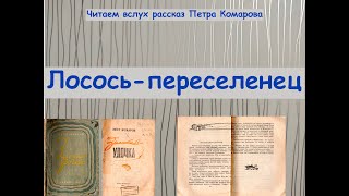 Лосось переселенец. Читаем вслух рассказ Петра Комарова