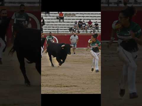Bull 🐂 Riding|